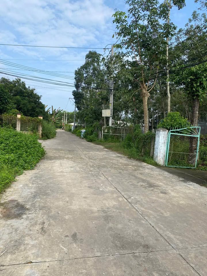 Đất nền Hưng Hòa Bàu Bàng 145m² giá 1.2 tỷ - Vị trí đắc địa gần KCN!