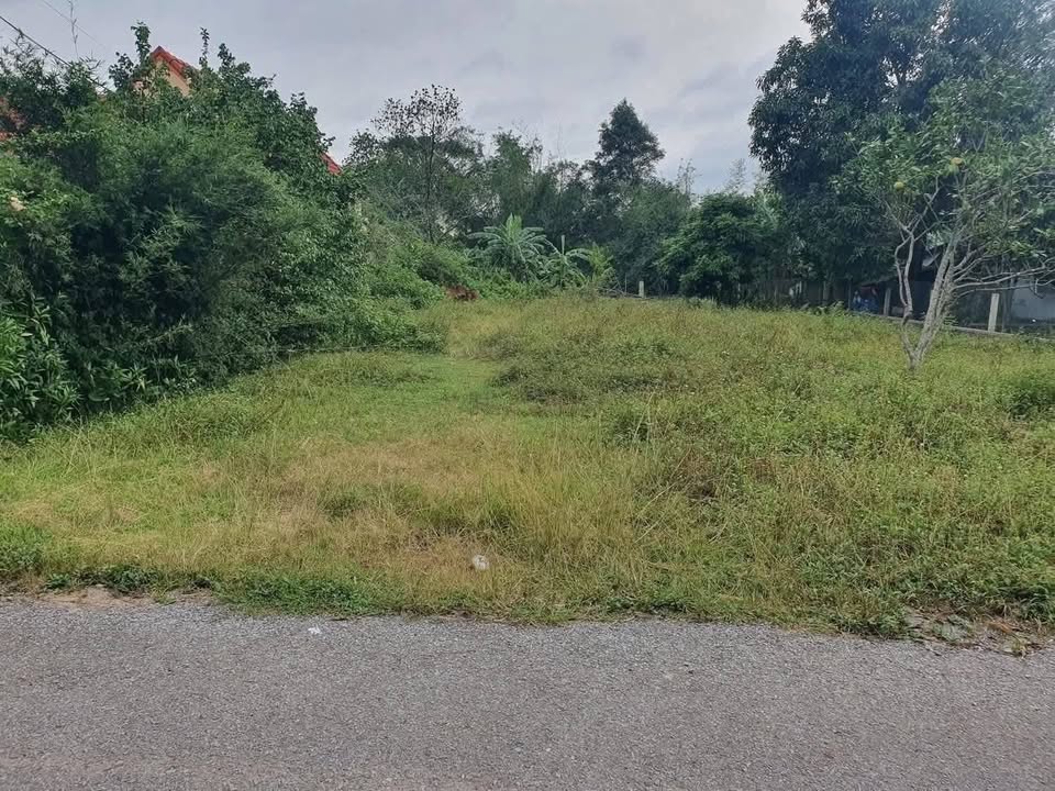 Đất nền Đồng Sơn, Đồng Hới 200m² chỉ 310 triệu - Cơ hội đầu tư tuyệt vời!