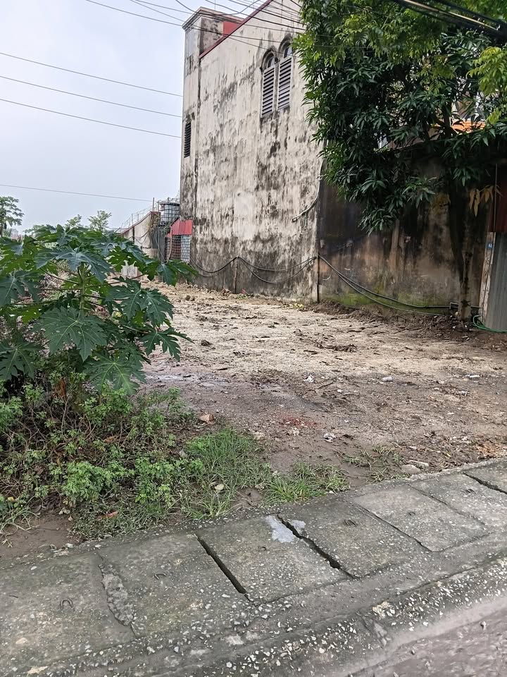 Đất nền đường 1A, Gia Viễn, Ninh Bình 100m² - Giá thỏa thuận hấp dẫn!