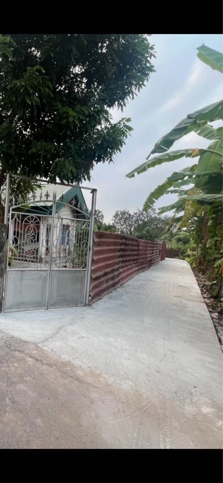 Đất nền Kim Sơn, Gia Lâm 77m² giá chỉ 3 tỷ - Đầu tư sinh lời cao!