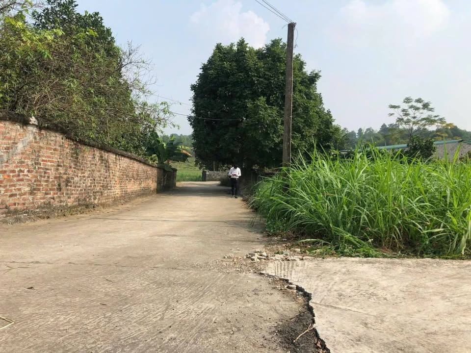 Đất nền Tản Lĩnh, Ba Vì 1029m² - Lô góc 3 mặt thoáng, giá tốt