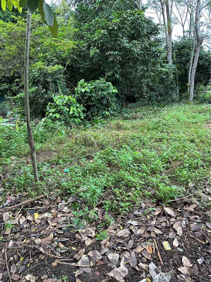 Đất nền An Tường Tuyên Quang 150m² giá 2 tỷ - Đầu tư sinh lời ngay!