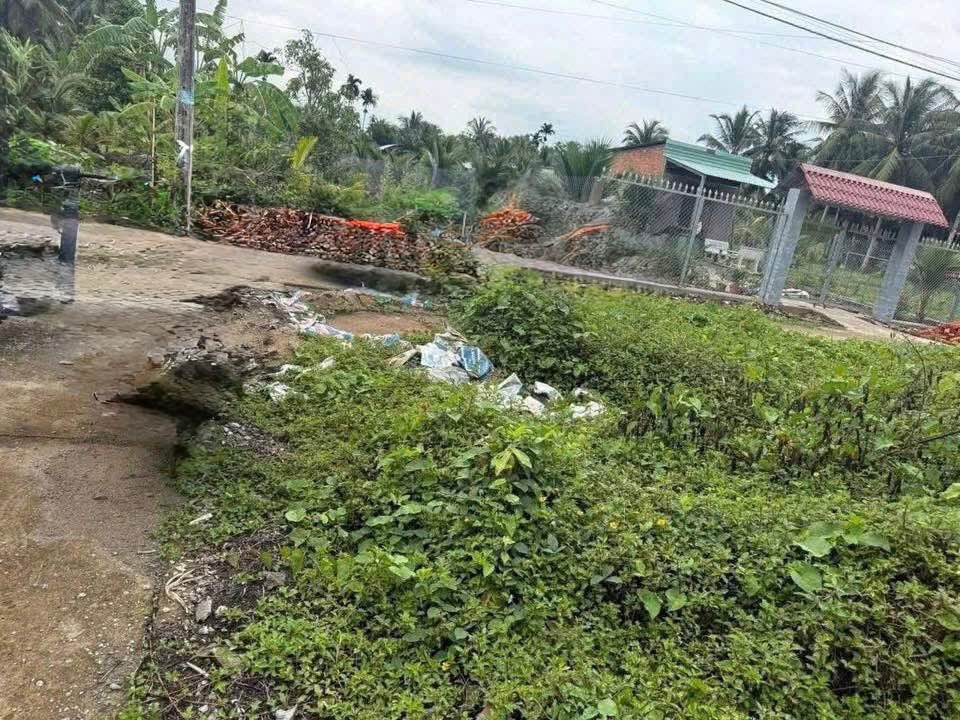 Đất nền Tam Phước, Châu Thành 100m² giá 290 triệu - Cơ hội đầu tư hấp dẫn!