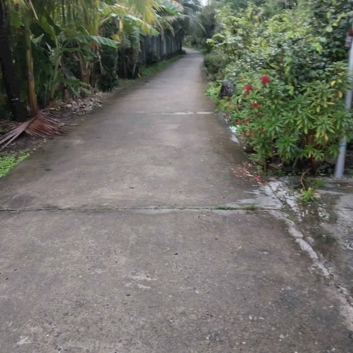 Đất nền Châu Hòa 127,4m² giá chỉ 280 triệu - Tiềm năng phát triển cao!