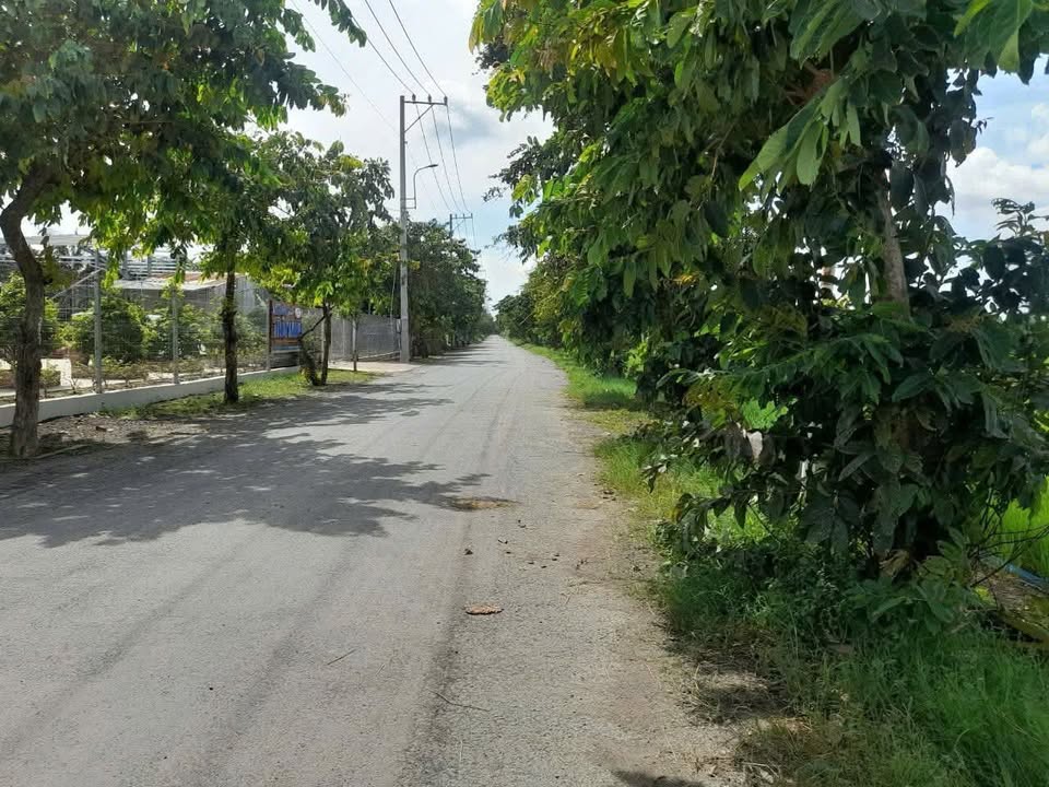 Đất mặt tiền đường nhựa xã Phú Hòa Đông, Củ Chi 3200m² giá 10 tỷ - Đầu tư sinh lời ngay!