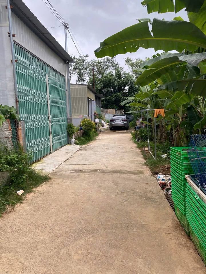 Đất XDPQ Phường 9 Đà Lạt 90m² giá 2.5 tỷ - Sổ đỏ chính chủ, ô tô vào tận nơi!