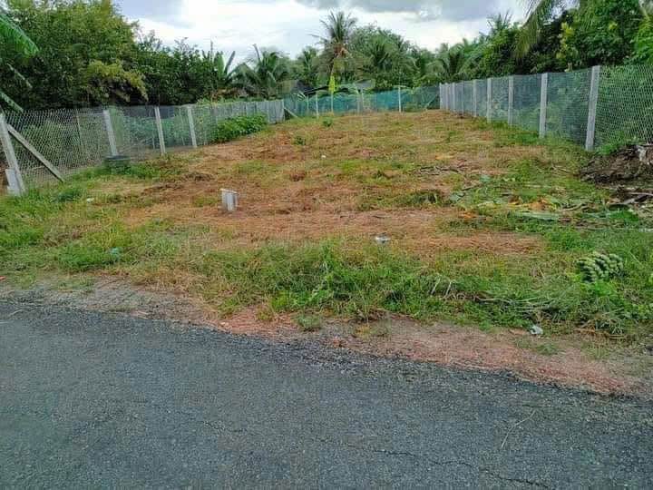 Đất thổ cư mặt tiền đường Bùi Tấn, 160m² giá chỉ 1 tỷ - Cơ hội đầu tư tuyệt vời!