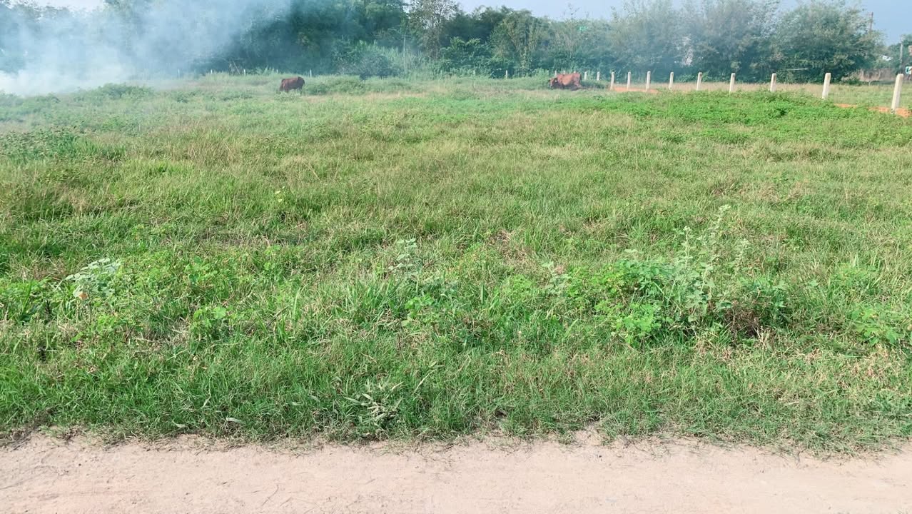 Đất nền Tân Mỹ, Đức Hòa, Long An 3060m² - Tiềm năng đầu tư lớn!