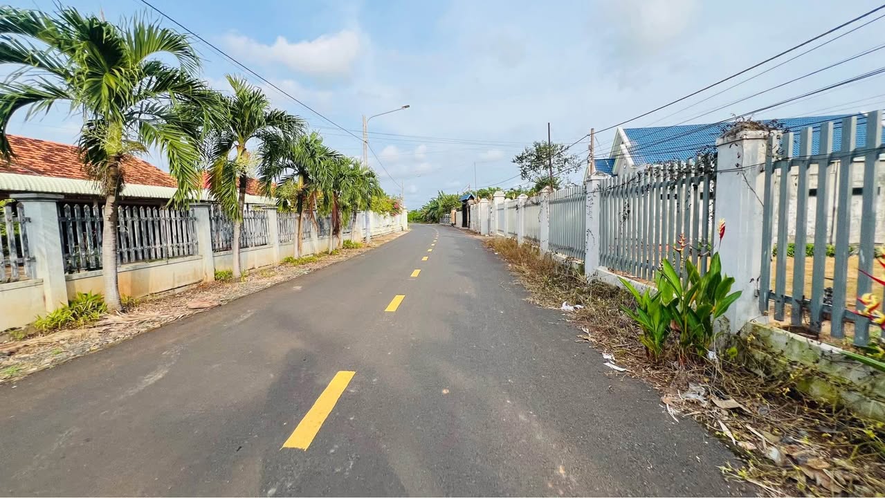 Đất nền mặt tiền đường Trần Văn Trương, Đất Đỏ 151m² giá 1.25 tỷ - Đầu tư sinh lời tốt!