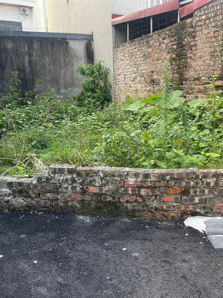 Đất nền Vân Nội Đông Anh 40m² giá 3 tỷ - Ô tô vào tận nơi!