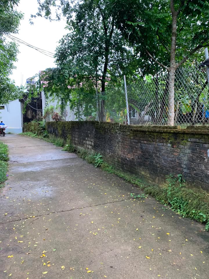 Đất vườn Tân Đức 625m² giá 1.05 tỷ - Sổ hồng chính chủ, đầu tư tuyệt vời!