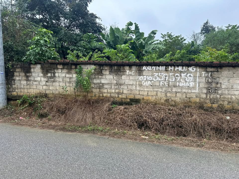 Đất thổ cư 225m² xã Đại An giá chỉ 1.5 tỷ - Cơ hội đầu tư hấp dẫn!