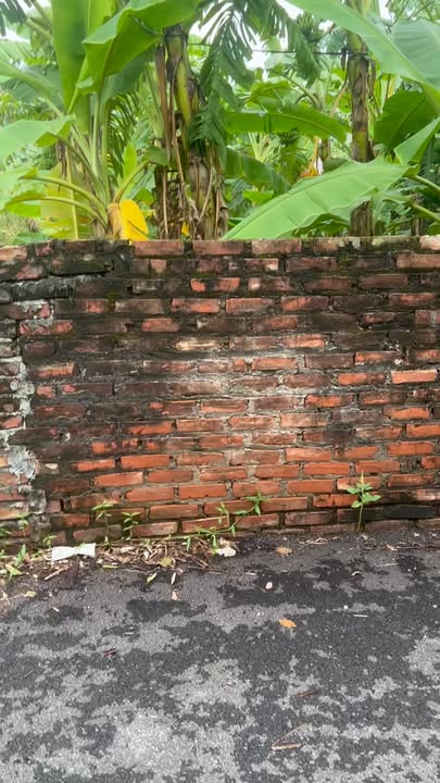 Đất thổ cư 240m² xã Triệu Việt Vương, Tiên Lữ - Giá chỉ 2.4 tỷ, ô tô vào tận nơi!