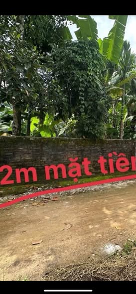 Đất thổ cư Xuất Hoá, Lạc Sơn 299m² chỉ 3xx triệu - Thích hợp đầu tư!