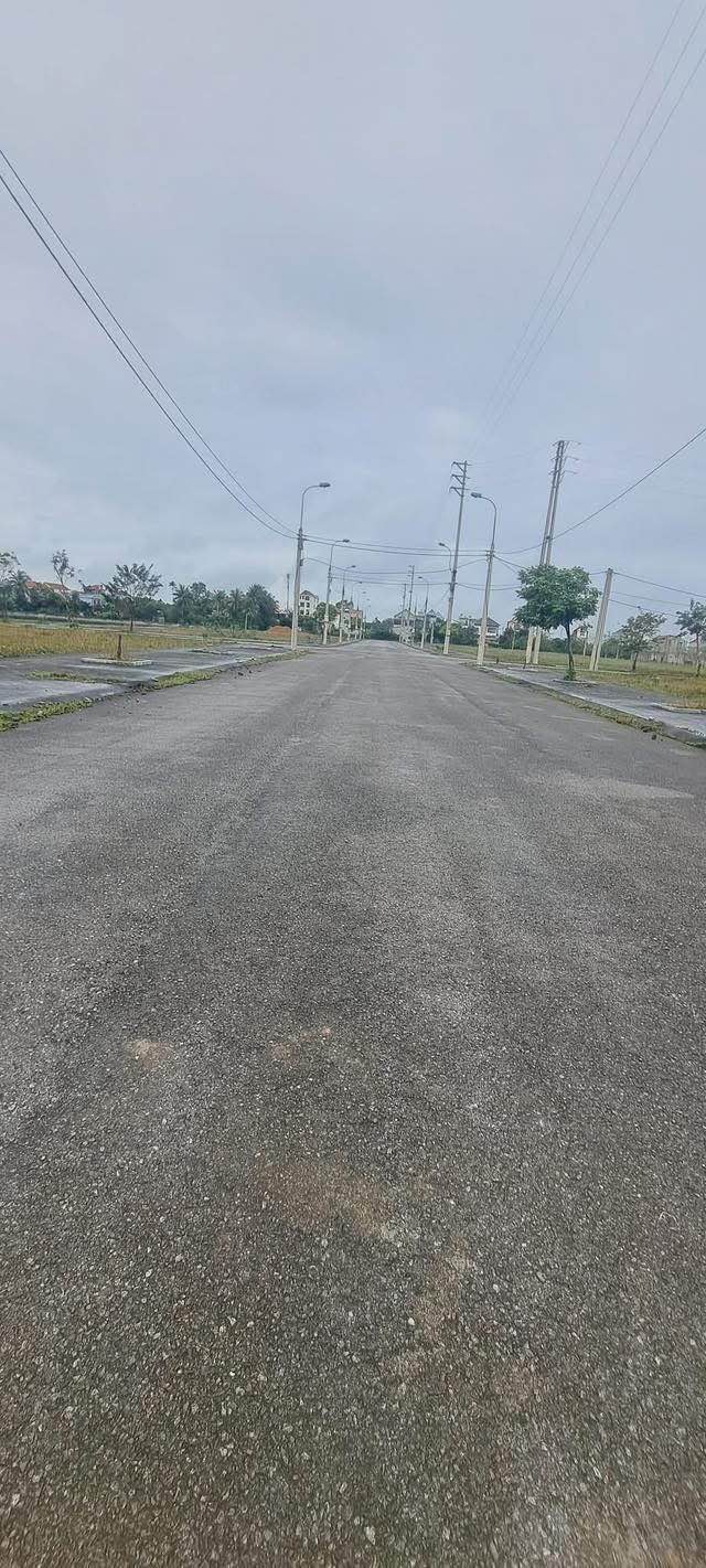 Đất nền L01 Khu đô thị Sao Mai Thọ Dân 115m² giá chỉ 700 triệu - Mặt tiền đẹp, cơ hội đầu tư hiếm có!