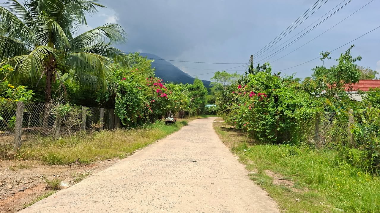 Đất vườn Diên Xuân 509m² giá 799 triệu - Không thể bỏ lỡ!