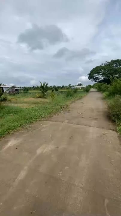 Đất mặt tiền xã An Bình Tây 14.000m² giá 4.2 tỷ - Cơ hội đầu tư hấp dẫn!