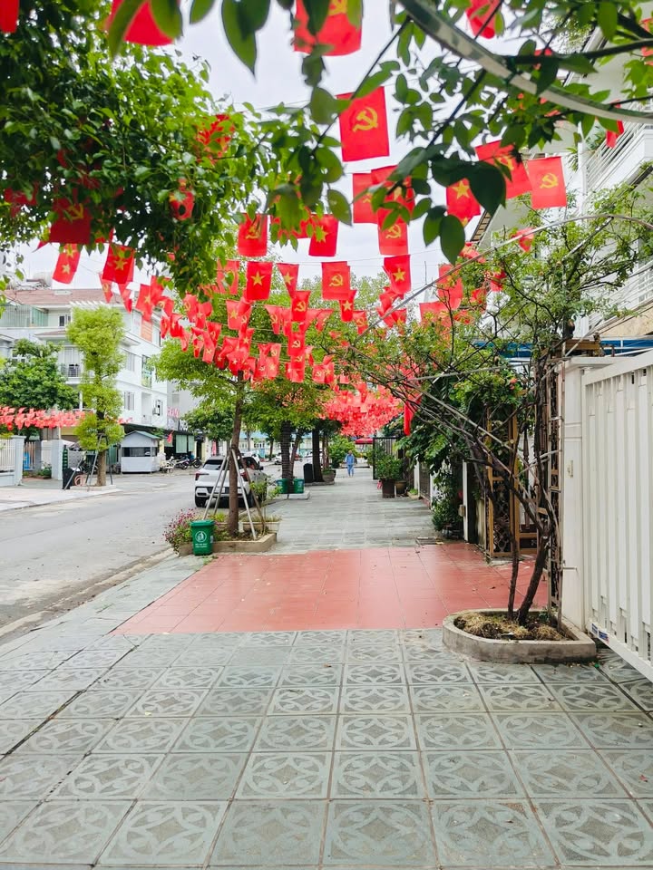 Nhà liền kề BigC Hạ Long 113m² giá 1 tỷ - Vị trí đắc địa, sống tiện nghi!