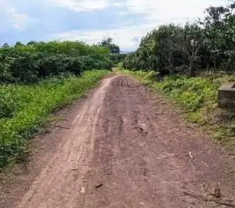 Đất nền Tân Hội Đức Trọng 1200m² giá 900 triệu - Cơ hội đầu tư hiếm có!