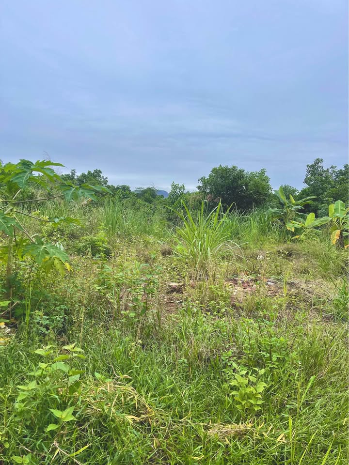 Đất nền phường Quyết Thắng, Thái Nguyên 150m² - Cơ hội đầu tư hấp dẫn!