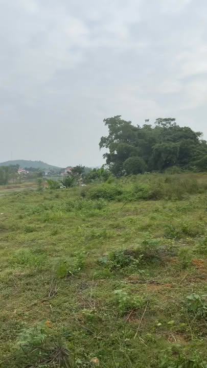 Đất nghỉ dưỡng Tu Vũ, Phú Thọ 3.700m² giá chỉ 2 tỷ - Cơ hội đầu tư tuyệt vời!