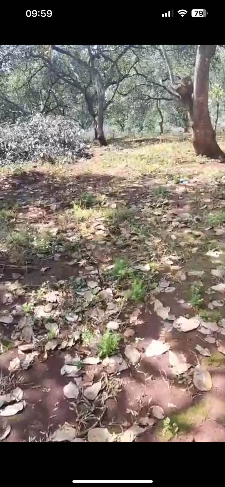 Đất nền Tân Hưng Đồng Phú 23.000m² giá 3 tỷ - Cơ hội đầu tư tuyệt vời!