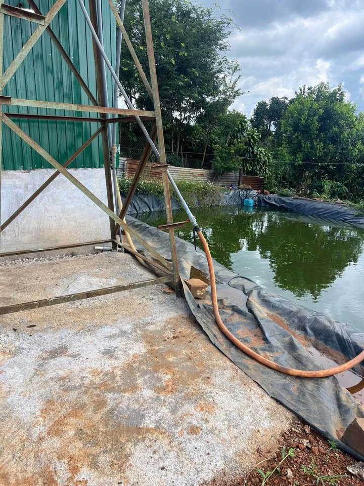 Đất đẹp 3 mặt tiền Đinh Trang Hoà, Di Linh 1ha giá 5 tỷ - Đầu tư sinh lời ngay!