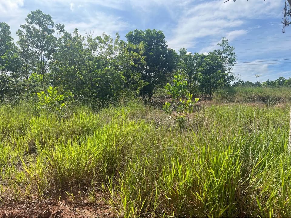 Lô đất biệt thự Bảo Lộc Capital 270m² giá 2,7 tỷ - View hồ tuyệt đẹp!