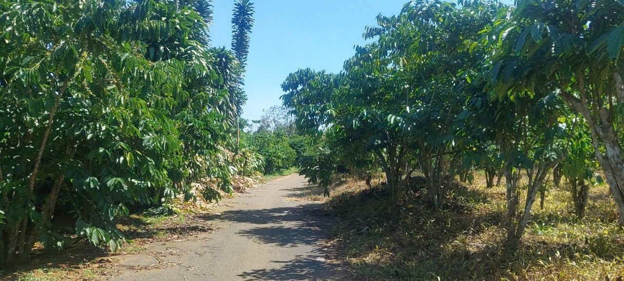 Đất nền Bảo Lộc 2887m² giá 2.15 tỷ - Sẵn thổ cư, mặt tiền 24m!