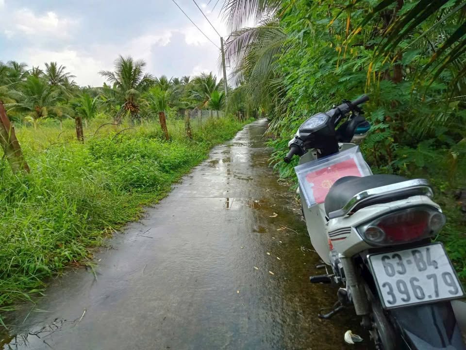 Đất nền Chợ Gạo 185m² giá 430 triệu - Sổ hồng chính chủ, đầu tư sinh lời!