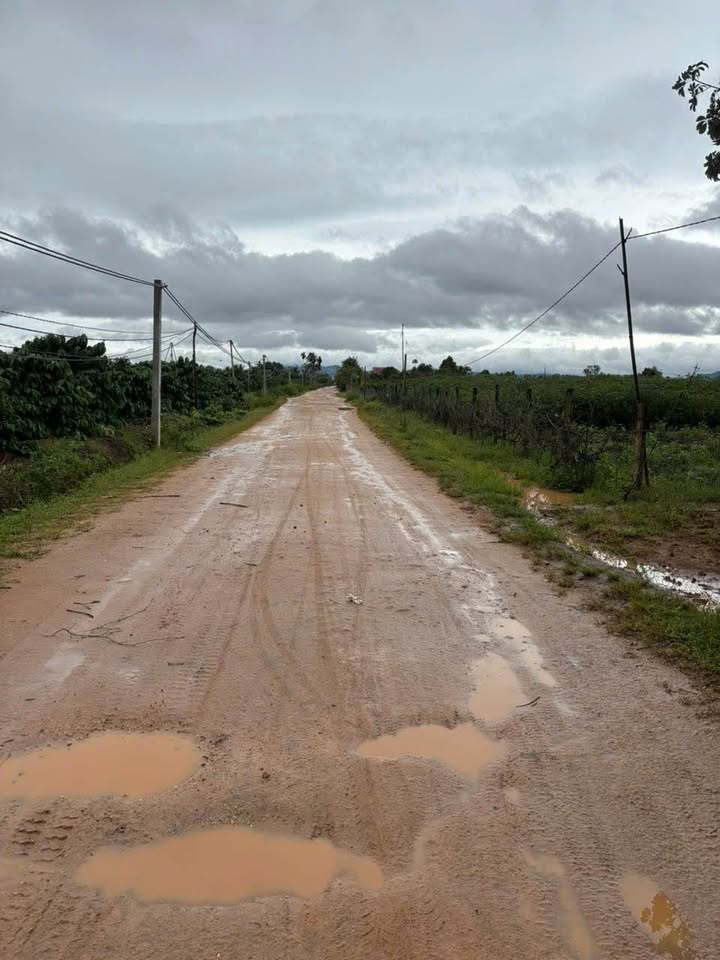 Lô đất nông nghiệp Gia Hội, Đak Năng 11710m² - Chính chủ bán gấp!