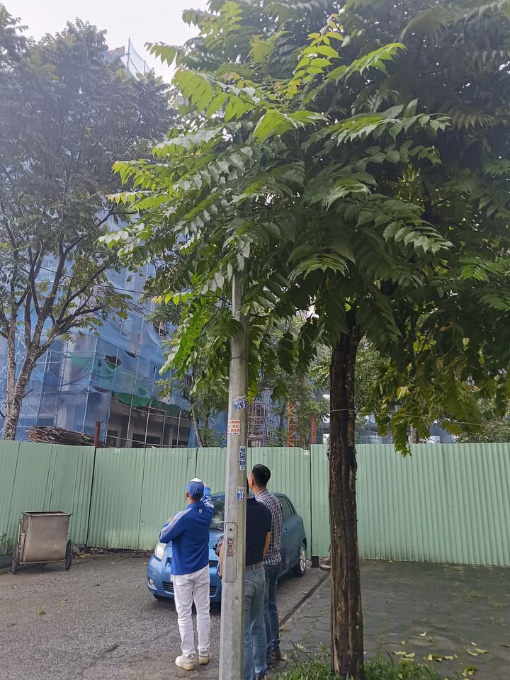 Nhà phố KĐT Thanh Hà Cienco 5, 102m², 13.3 tỷ - Cơ hội đầu tư tuyệt vời!