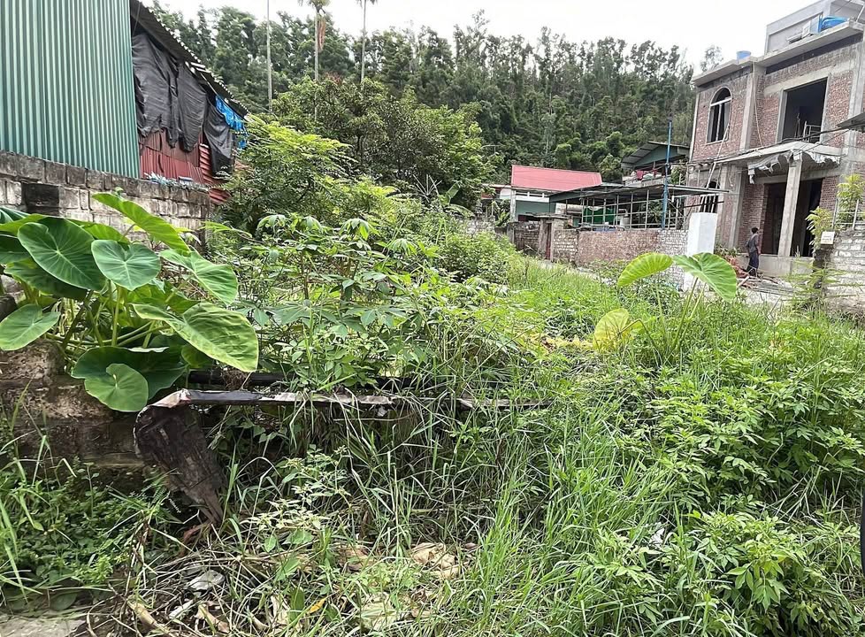 Đất nền Phường An Lưu, Kinh Môn 95m² giá 800 triệu - Đầu tư sinh lời ngay!