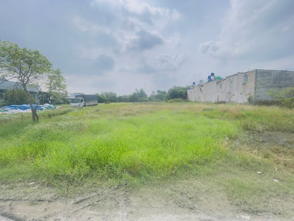 Đất thổ cư đường Nguyễn Thị Thọ, Đức Hòa 150m² giá chỉ 1.45 tỷ - Sổ hồng riêng chính chủ!