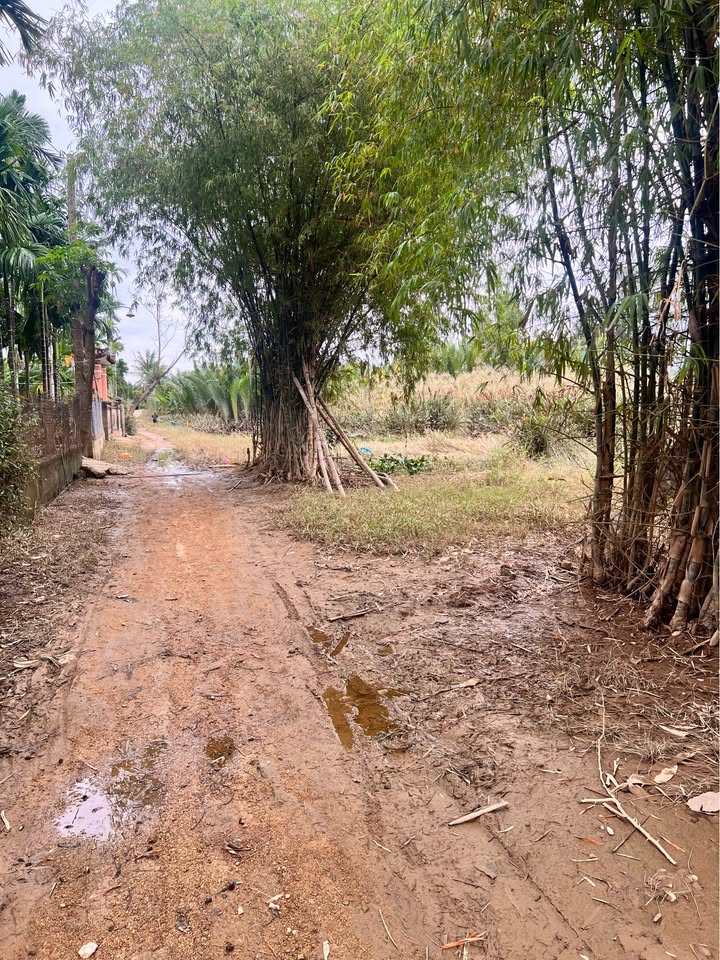 Đất thổ cư Duy Vinh 240m² giá 910 triệu - Sổ hồng chính chủ