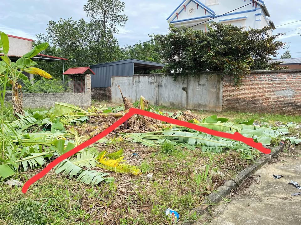 Đất nền lô góc 2 mặt tiền tại Mai Trung, Hiệp Hòa 61m² - Giá chỉ 300 triệu VND!