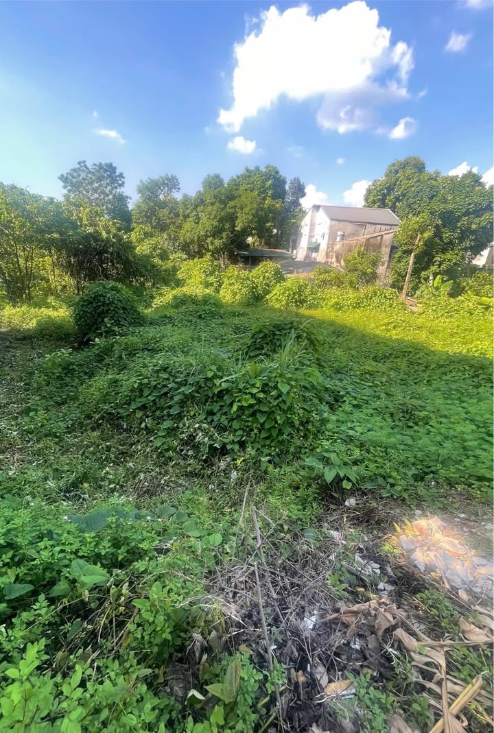 Đất thổ cư Yên Sơn 200m² giá thỏa thuận - Xây nhà vườn biệt thự lý tưởng!