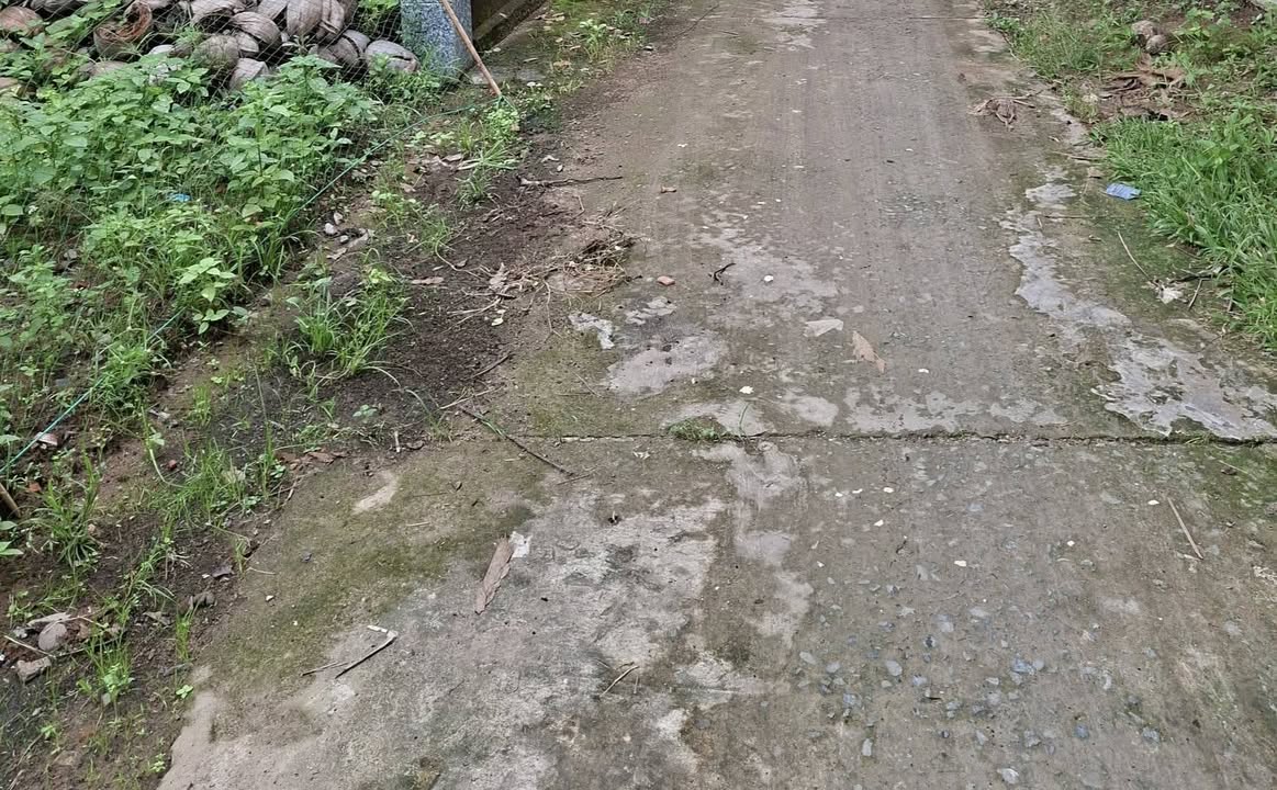 Đất nền Giao Long 200m² giá 350 triệu - Đầu tư sinh lời ngay!