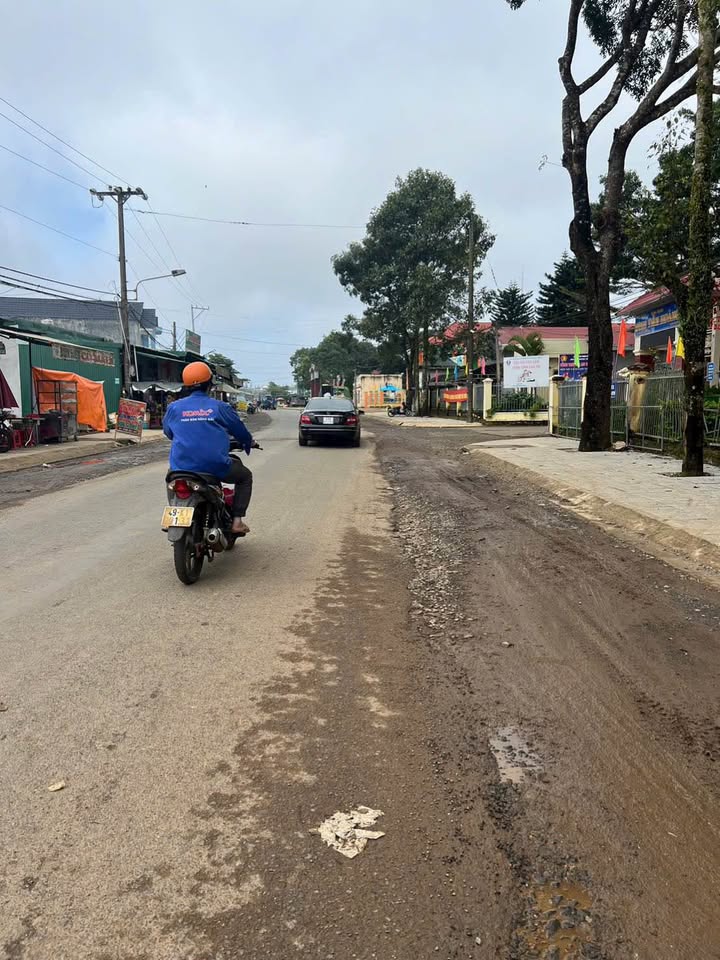 Đất nền Lộc Ngãi Bảo Lâm 300m² giá 1.65 tỷ - Gần trường học và chợ