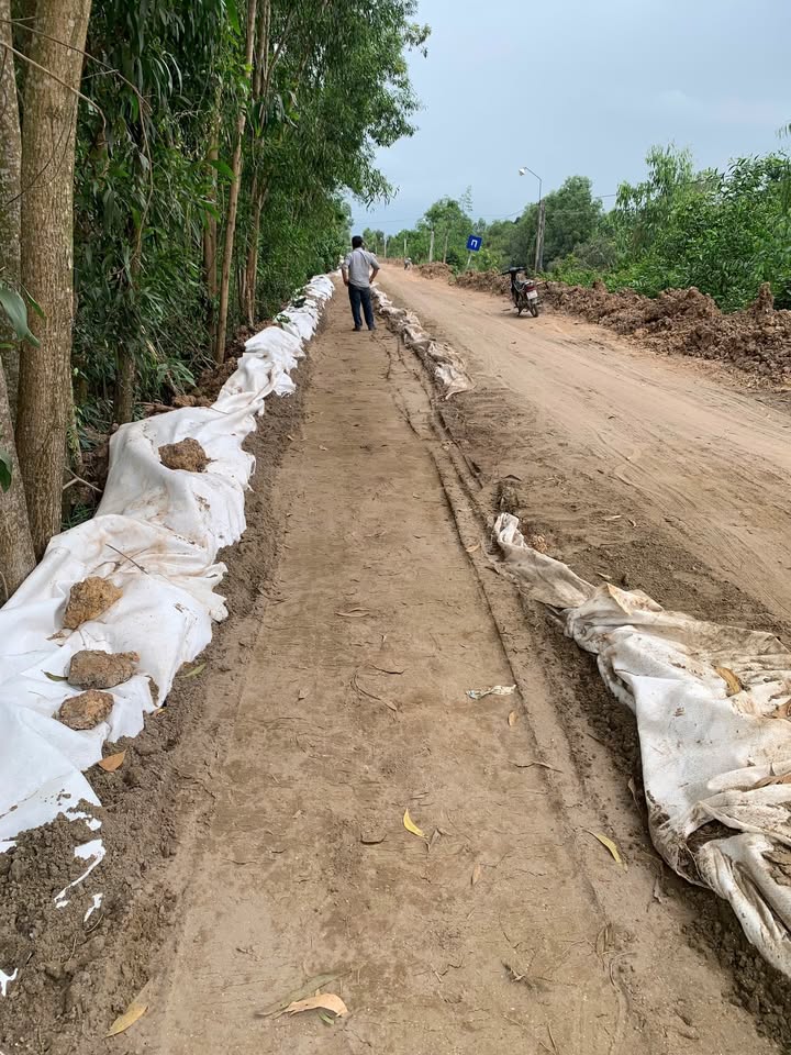 Đất lúa 4011m² sổ hồng riêng tại Đức Huệ, Long An - Giá chỉ 850 triệu!