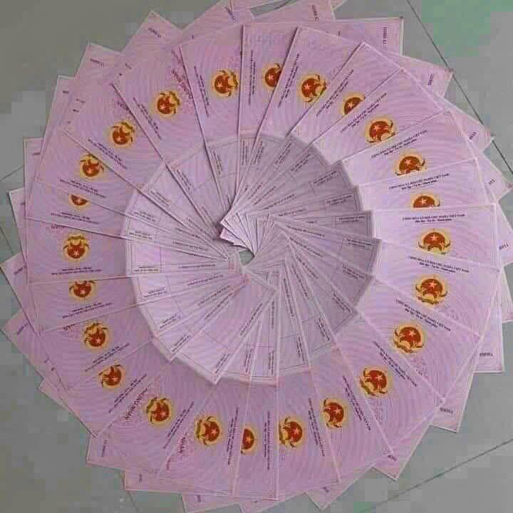 Đất nền Cổ Đông, Sơn Tây 200m² giá chỉ 2x triệu/m² - Cơ hội đầu tư hấp dẫn!