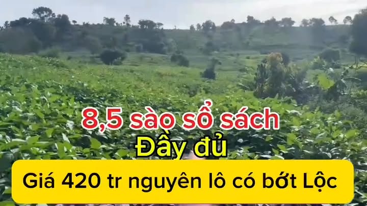 Đất nền xã Đắk R'ót 8500m² giá 420 triệu - Sổ đỏ chính chủ, tiện ích đầy đủ!