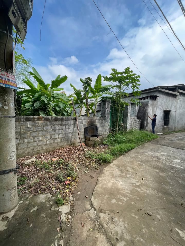 Đất nền Tân Hòa, Hòa Bình 160m² giá 2 tỷ - Sổ đỏ chính chủ, đường ô tô vào tận nơi!