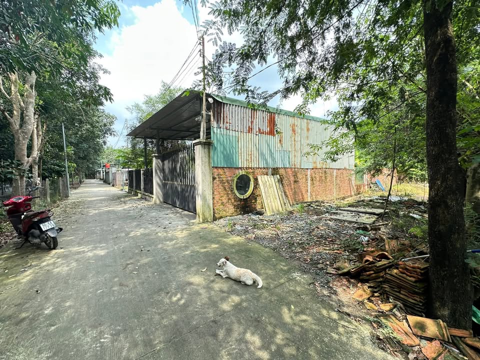 Đất nền Chánh Phú Hòa 425m² giá 1.2 tỷ - Cơ hội đầu tư hấp dẫn!