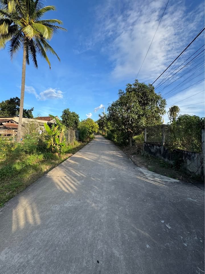 Đất nền đường Trần Quốc Hoàn, phường Trần Hưng Đạo, 340m² giá 700 triệu - Đầu tư sinh lời ngay!