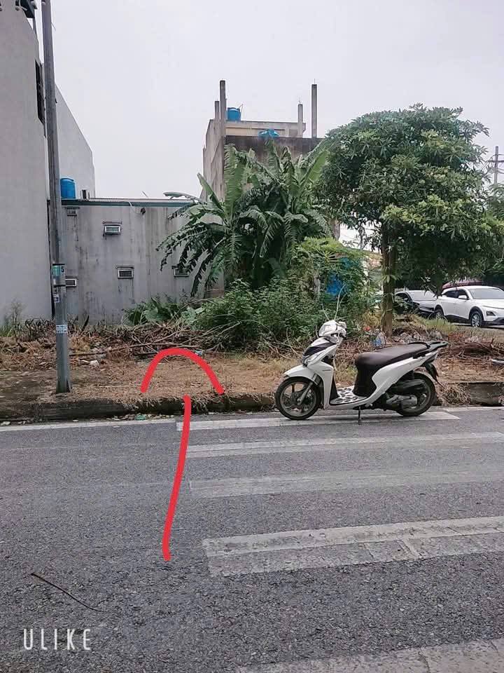 Đất nền Khu đô thị Toàn Gia 1, Bình Giang 72m² - Sẵn sàng kinh doanh ngay!