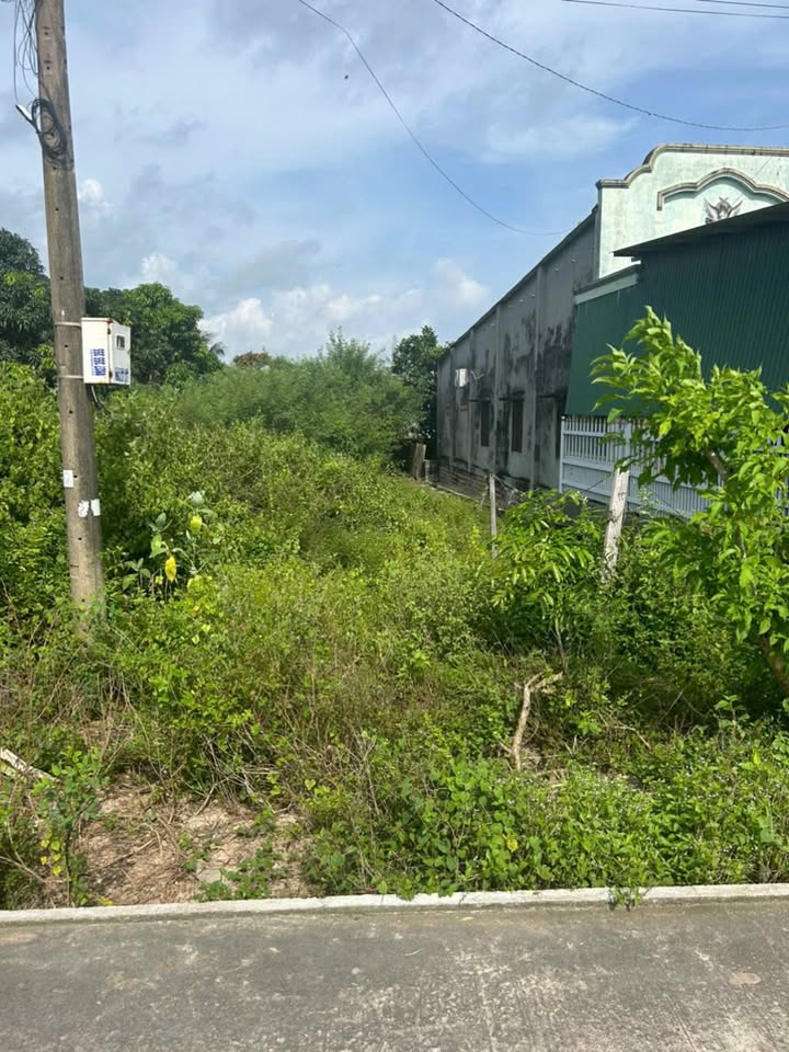 Đất Nguyễn Đức Cảnh La Gi 134m² giá 1.4 tỷ - Vị trí đắc địa, tiện ích đầy đủ!