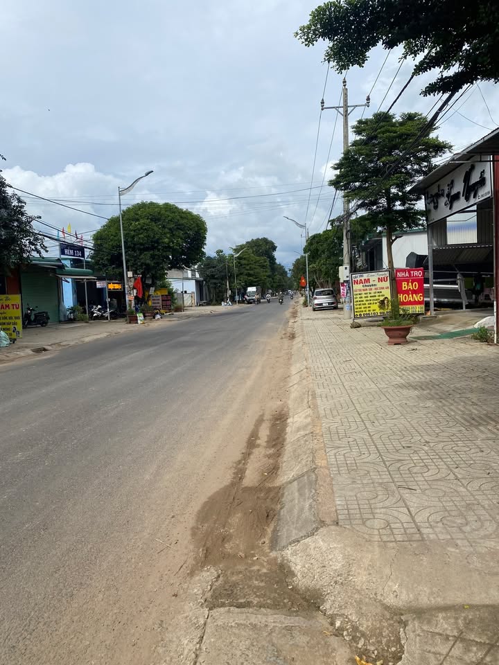 Đất nền Phú Hội, Đức Trọng 115m² giá 1.3 tỷ - Không gian sống trong lành!