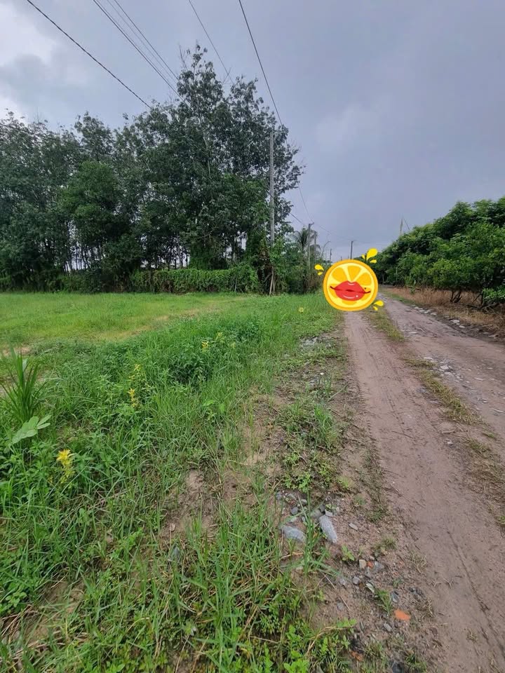 Đất công nghiệp Long Hoa Tây Ninh 2843m² giá 1.35 tỷ - Diện tích rộng rãi, vị trí đẹp!