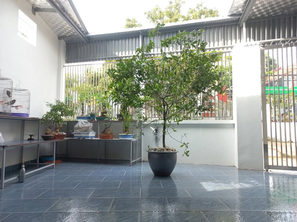 Đất Khu 7 Thanh Sơn 90m² giá 400 triệu - Sổ hồng chính chủ sẵn sàng sang tên!